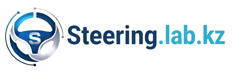 Логотип Steeringlab.kz
